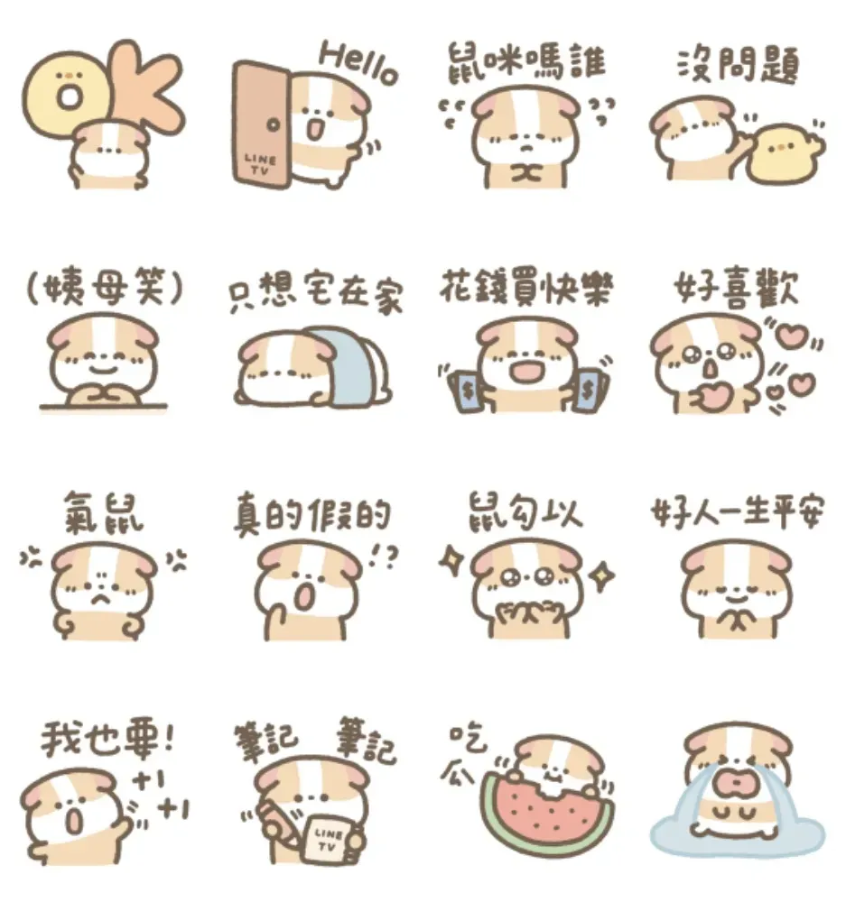 LINE TV|天竺鼠布丁